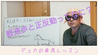 【乗馬】軽速歩と正反動のこと初心者向けに話してみた【馬ブログ】