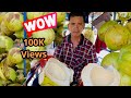 100 coconut sale in 1-hour |Cutting Skill @Vecharalifestyle