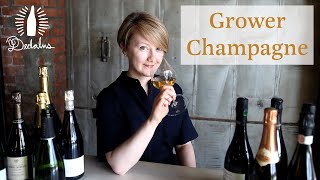 What You Need to Know About Grower Champagne