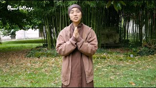 Walking Meditation in Nature with Sister Sinh Nghiem | Plum Village Online Retreats