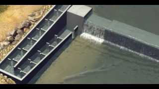 How a vertical-slot fishway works