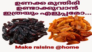 How to make Raisins at home | ഉണക്ക മുന്തിരി ഇനി വീട്ടിൽ തന്നെ ഉണ്ടാക്കിയെടുക്കാം