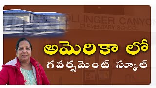 Government schools in America ..ఇక్కడ  గవర్నమెంట్ స్కూల్  చూస్తే ఆశ్చర్యపోవటమే | nagaSree  Diaries |