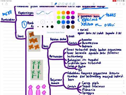 SAINS PT3 T1 - Bab 4 Pembiakan - YouTube