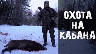 Охота на кабана 2020.Закрытие сезона.