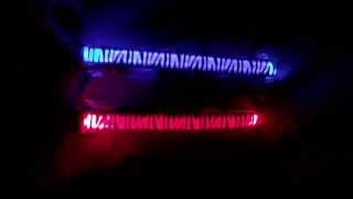 Zebra Led Halsband für Hunde/ www.haustiere-fashion.ch