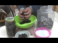 preserve black olives Ελιές μαύρες σε άλμη. chef andros