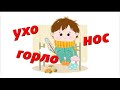 Современный ЛОР кабинет. Опытные специалисты. Клиника