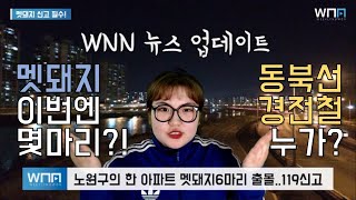 [WNN] 60세 이상 일자리는 노원시니어클럽 / 수락산 멧돼지 또 / 대진고 운동장 주차 개방 / 동북선경전철 시공사는? | WNN 위클리노원뉴스 2019년 7월 15일~21일주