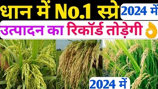 2024 में धान के लिए जबरदस्त स्प्रे ।धान का उत्पादन 20% बड़ेगा । @NitinDeol । paddy Farming