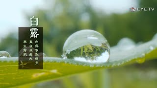 【EYE TV二十四節氣系列】茶韻-白露