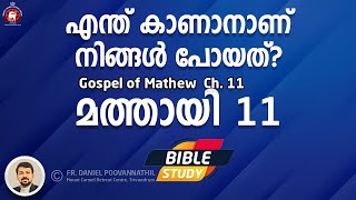 Mathew Ch.11. Fr Daniel Poovannathil.