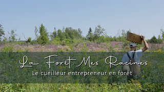 La forêt, mes racines: Le cueilleur entrepreneur en forêt