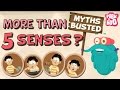 How Many Senses Do We Have? - Myths Busted | The Dr. Binocs Show | Busting The Myth of 5 Senses