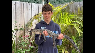 A trip around the Everglades#travel #florida #alligator #evergladesnationalpark