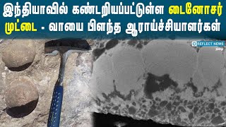 இந்தியாவில் டைனோசர் முட்டை  கண்டெடுப்பு | Dinosaur Video | Dinosaur Eggs In Madhya Pradesh Forest