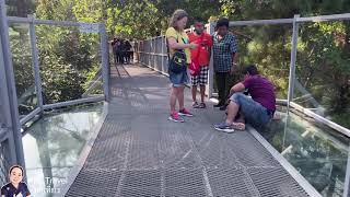 ไปพิสูจน์!!! Canopy Walk เส้นทางเดินเหนือเรือนยอดไม้