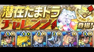 [PAD][パズドラ][周回]【潜在たまドラチャレンジ！ Lv4】(海賊スイートマドンナ・ココ・フェルケナ/可可・法爾凱納)【Puzzle \u0026 Dragons】