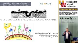 EL LADO DULCE DE LA QUÍMICA: AZÚCARES, RECONOCIMIENTO MOLECULAR Y RESONANCIA MAGNÉTICA NUCLEAR