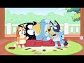 밴디트의 최고의 순간 👨 블루이 한국 공식 채널 bluey 💙 🇰🇷