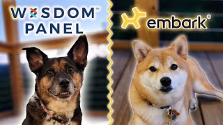 DNA Testing Our Dog AGAIN | Wisdom Panel Vs Embark