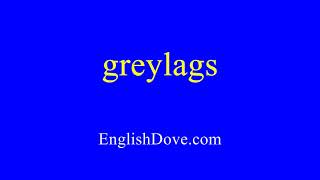 How to pronounce greylags in American English