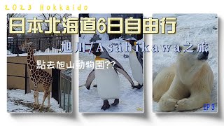 日本北海道6天自由行2023 Hokkaido (EP3) | 旭川/Asahikawa之旅 | 點去旭山動物園??