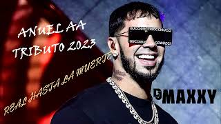 Mix Anuel AA (Tributo Anuel AA 2023) VOL01 - DJ MAXXY