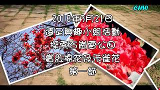 石崗雷公田賞紅棉花