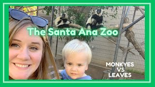 We Went To The Monkey Zoo! AKA The Santa Ana Zoo! Vlog