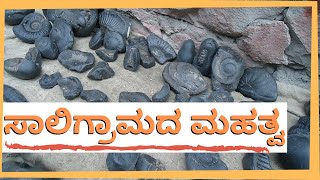 ಸಾಲಿಗ್ರಾಮ ಎಲ್ಲಿ ಸಿಗುತ್ತದೆ? ಅದರ ಮಹತ್ವ ಏನು? What is the importance of Saaligrama?