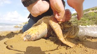 浜辺で動かない生き物を発見。それを持ち上げて恐怖で固まった