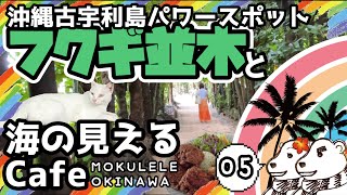 🌈【2021沖縄旅05】パワースポットのフクギ並木からシークレットゲストに会いに海の見えるCafe MOKULELE OKINAWAへ！