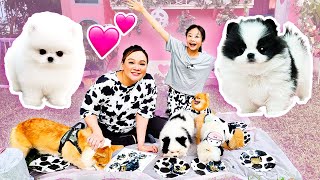 Bug & Sequin Have New Puppies! | Little Big Toys