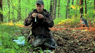 Turkey Hunting in the hardwoods