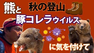 秋の登山は、クマと豚コレラウイルスに気を付けて！