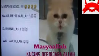 Masyaallah kucing berbicara ALLAH