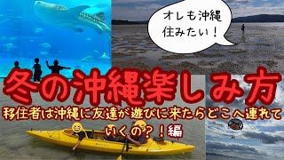 【沖縄移住と観光】冬の沖縄楽しみ方