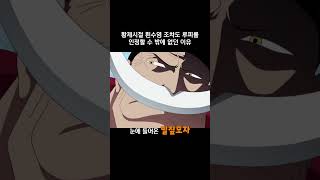 황제시절 흰수염 조차도 루피를 인정할 수 밖에 없던 이유 #원피스