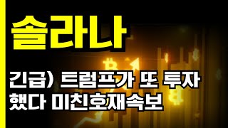 솔라나 코인 긴급) 트럼프가 또 투자했다 미친 호재속보