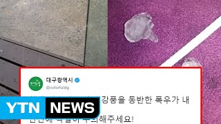 대구 날씨, 강풍 동반 우박 쏟아져…\