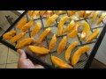 how to preserve mangoes by drying in a dehydrator with special tip