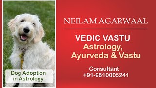 Adoption of Dog In Astrology By Astrologer Neilam Agarwaal-Vedic Vastu 9810005241