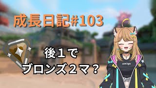 【#valorant    】成長日記103！ #アミーゴいっきまーす #新人vtuber #個人勢vtuber #あみチャーハン   #雑談 #valorant初心者