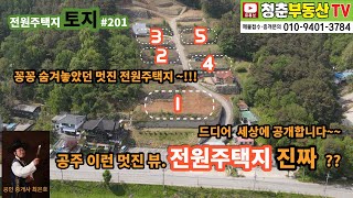 [청춘부동산TV]효와역사문화가살아 숨쉬는충남공주.멋진리버사이드.지금까지이런전원주택지는없었다.꽁꽁숨겨놓앗던보물중의보물.상하수도기반시설및대체산림비납부.바로건축행위가능.지금선택하세요