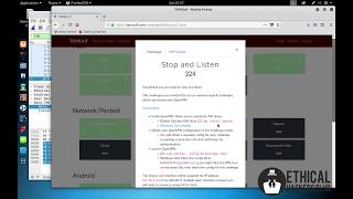 TAMUctf 2019 Network/Pentest "Stop and Listen" Challenge Writeup