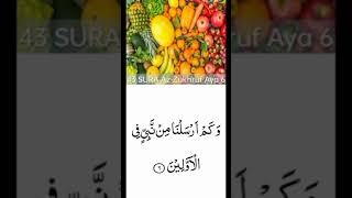 Surah Az Zukhruf  ki tilawat o tajweed sath ayat no 6  سورۂ* زخرف *  کا تلاوت و تجوید کے ساتھ
