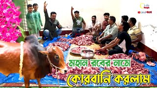 ঈদের দ্বিতীয় দিন আল্লাহর নামে কোরবানি করলাম! সাথে ছিল আকরাম ভাই! কোরবানির গরু 2024