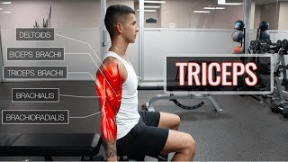 The Best Science-Based Tricep Workout | ARMS (Part 2/2)