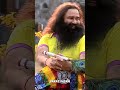 मैं यार दा दीवाना..😍💯 saint dr msg insan @saintmsginsan dera sacha sauda saintmsg ramrahim msg